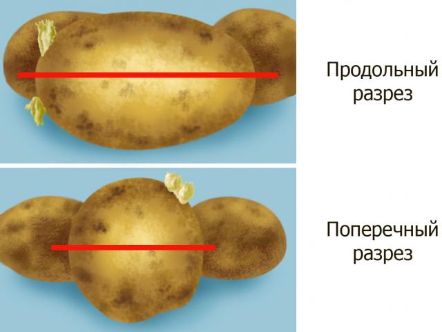 Способы нарезать картошку соломкой без шинковки