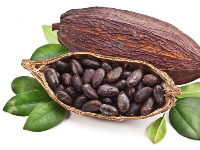 Manteca de cacao: propiedades y usos